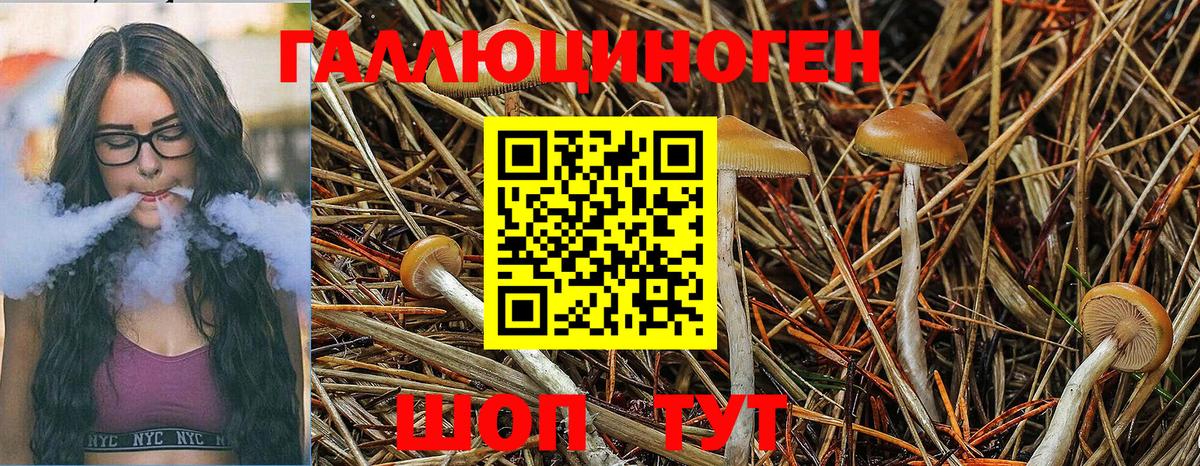 Галлюциногенные грибы GOLDEN TEACHER Архангельск
