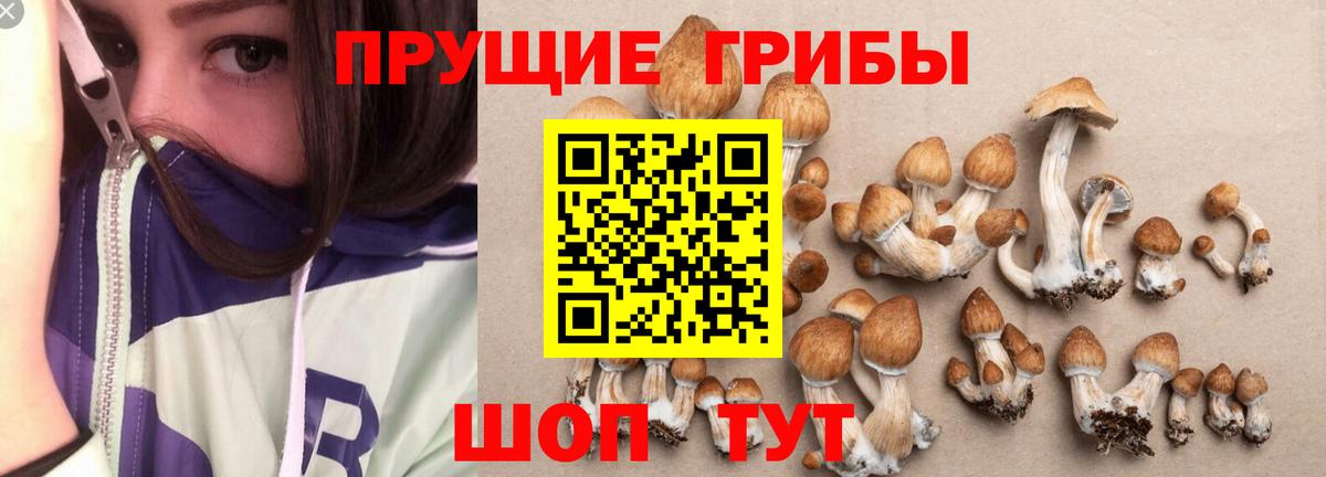 наркотики  Вход с VPN  Архангельск  Псилоцибиновые грибы MAGIC MUSHROOMS 